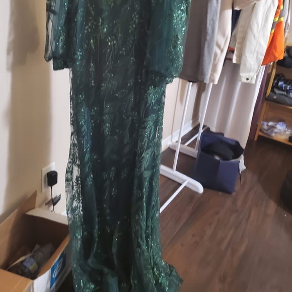 Green Sparkly Evening Gown - Picture 5 of 9
